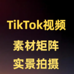 Tiktok短视频 寄样拍摄➕剪辑 做TikTok短视频批量的Boss可以看过来!